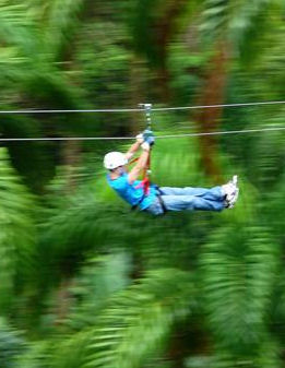 Adventure Canopy Tour